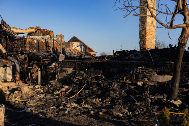 Reliable Content Restoration contractor in Webster, FL by Meridian Smoke Damage